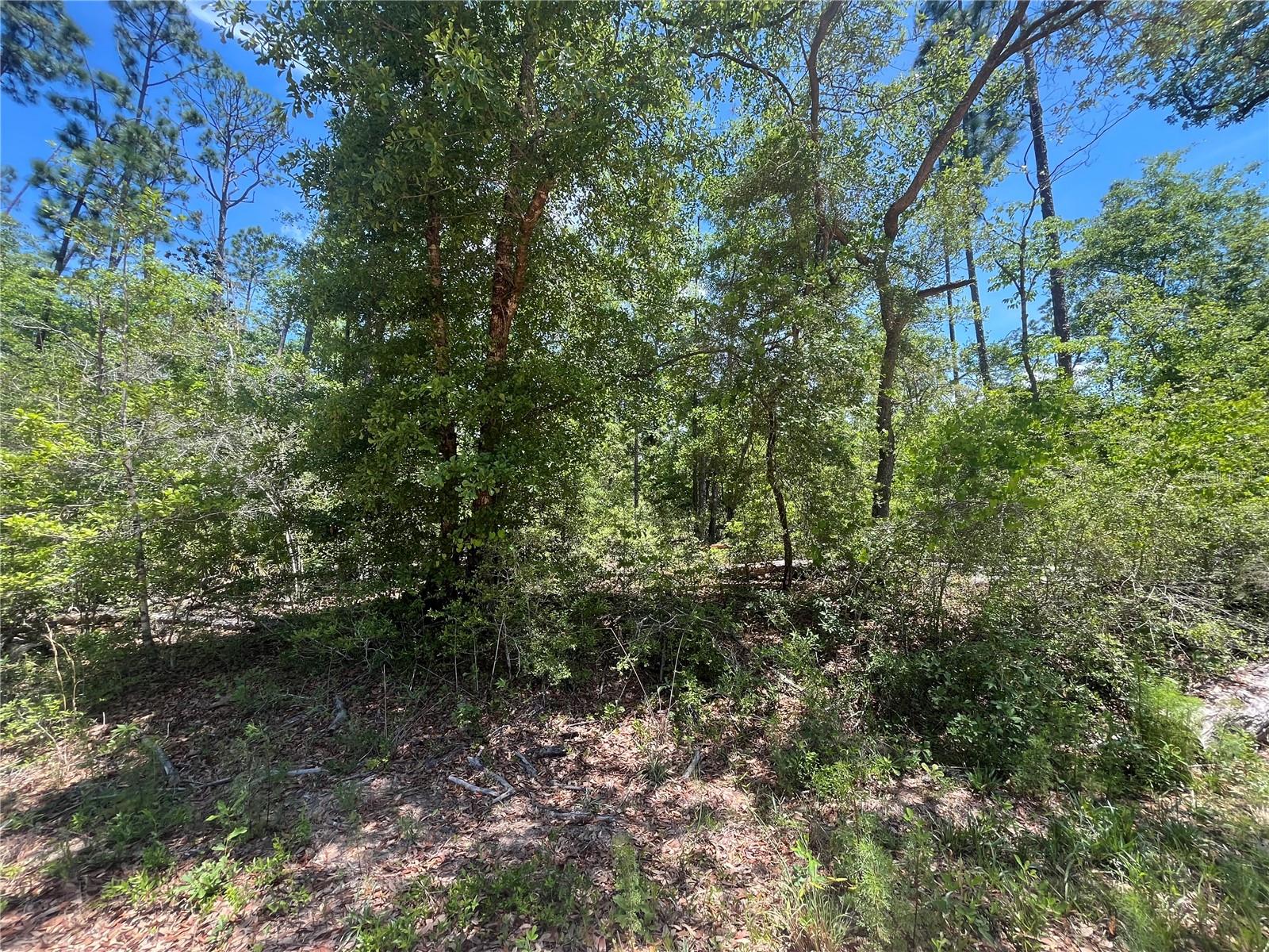 TAMARAC RD, MARIANNA, FL, 32448