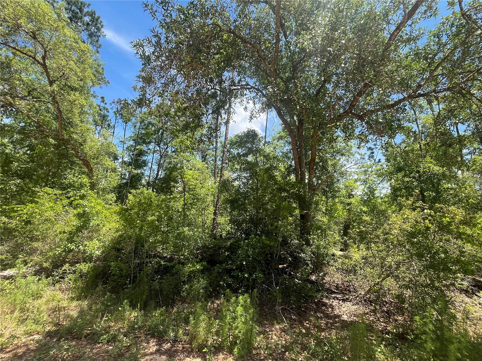 TAMARAC RD, MARIANNA, FL, 32448