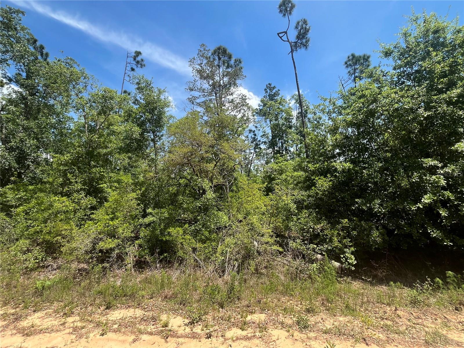 TAMARAC RD, MARIANNA, FL, 32448