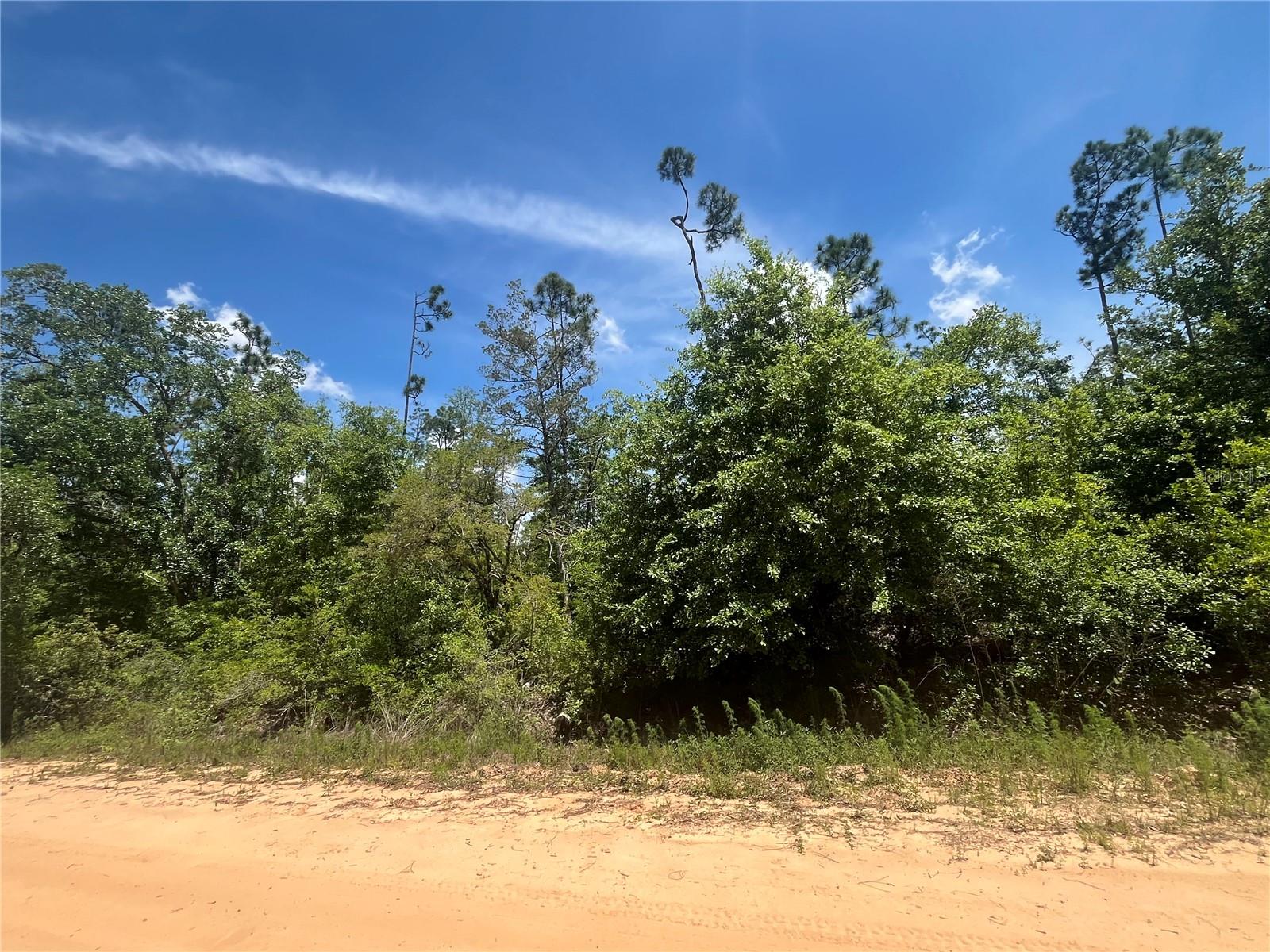 TAMARAC RD, MARIANNA, FL, 32448