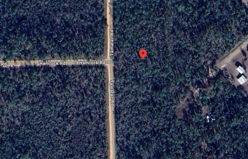 TAMARAC RD, MARIANNA, FL, 32448