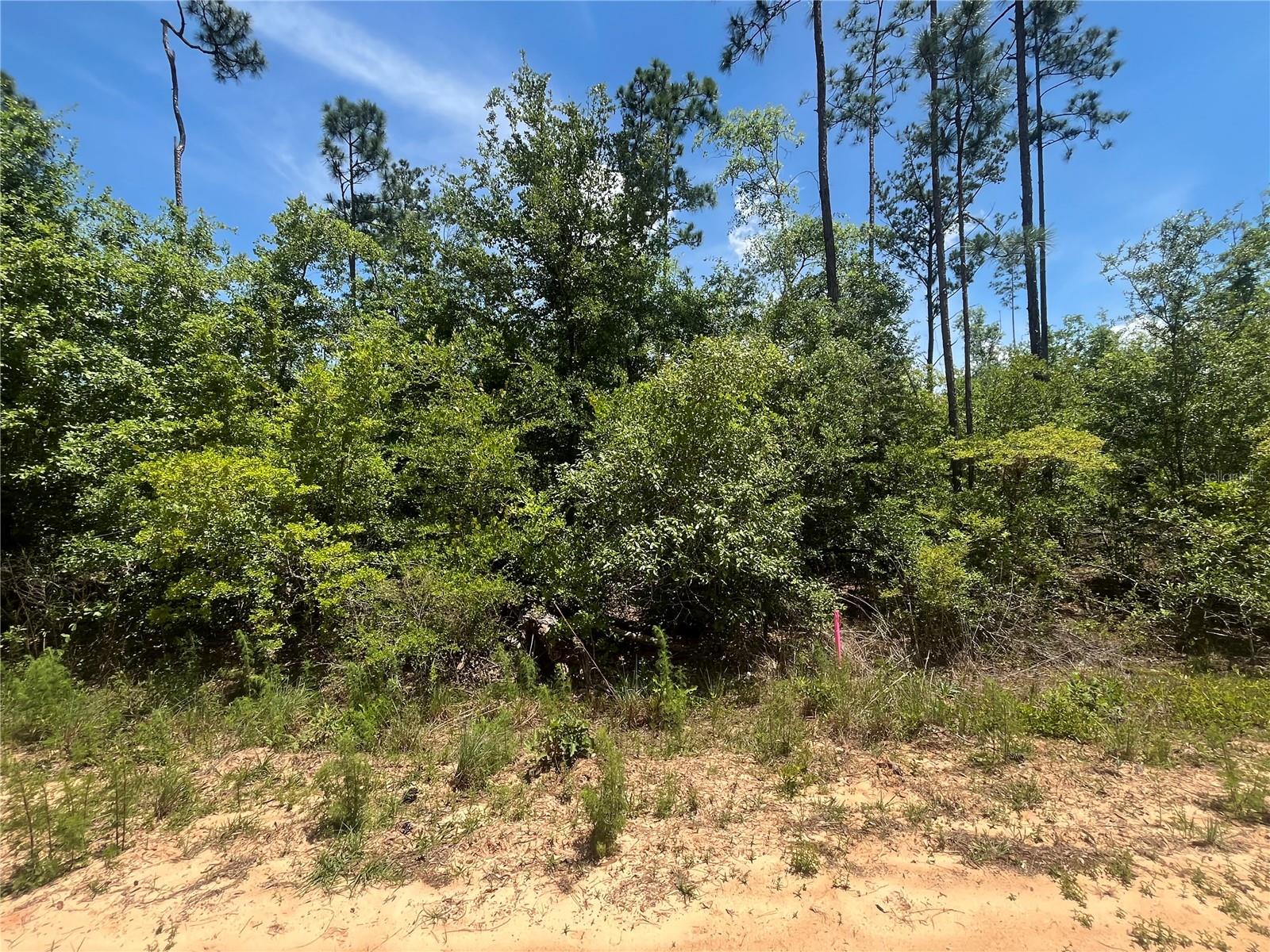 TAMARAC RD, MARIANNA, FL, 32448