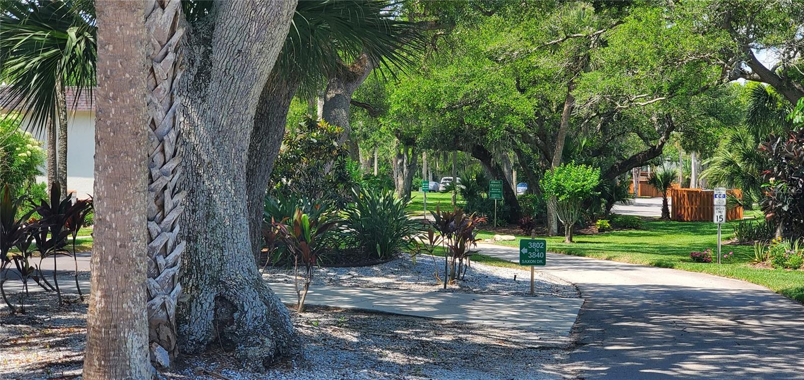 3800 SAXON DR #160, NEW SMYRNA BEACH, FL, 32169