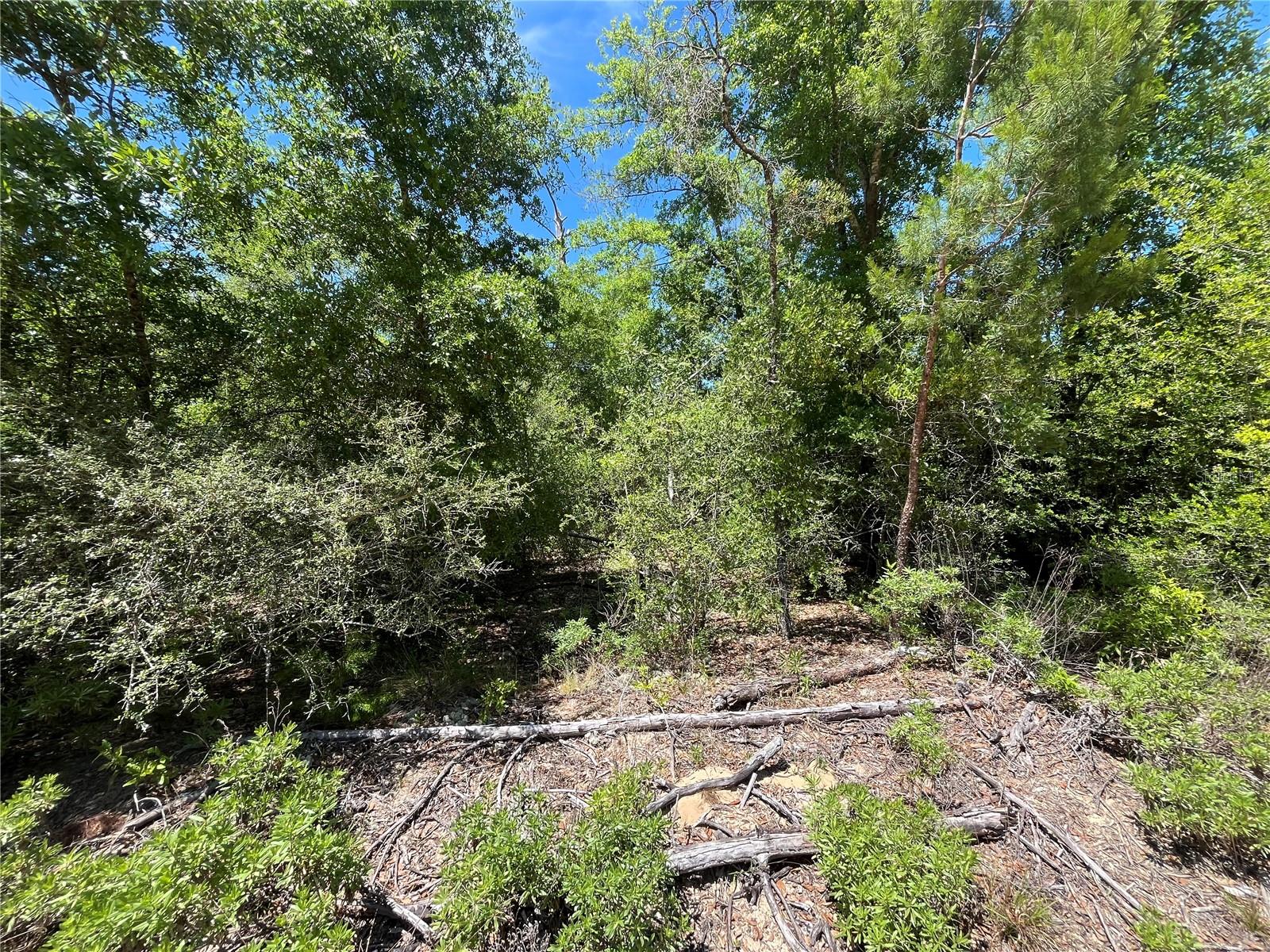 HOCKING ST, ALFORD, FL, 32420