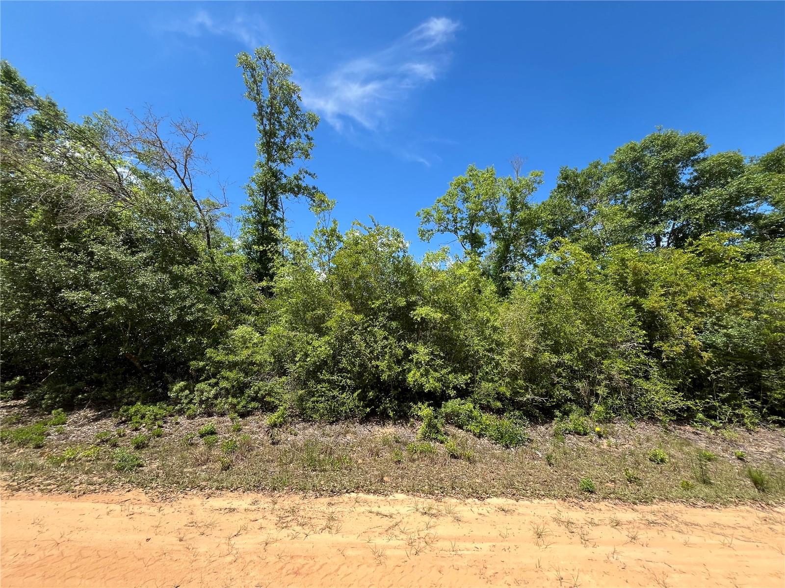 HOCKING ST, ALFORD, FL, 32420