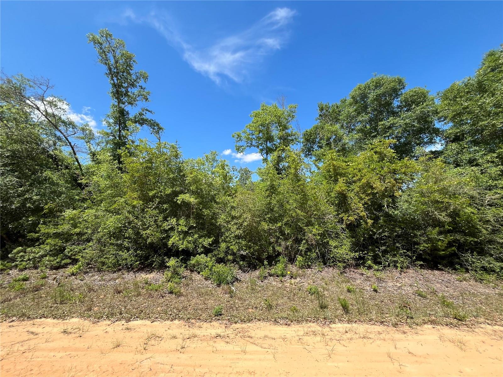 HOCKING ST, ALFORD, FL, 32420