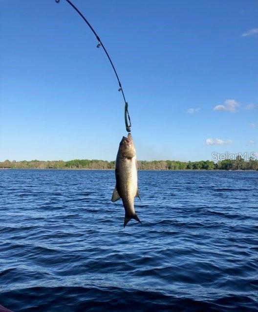 665 RHODES DR, DELAND, FL, 32720