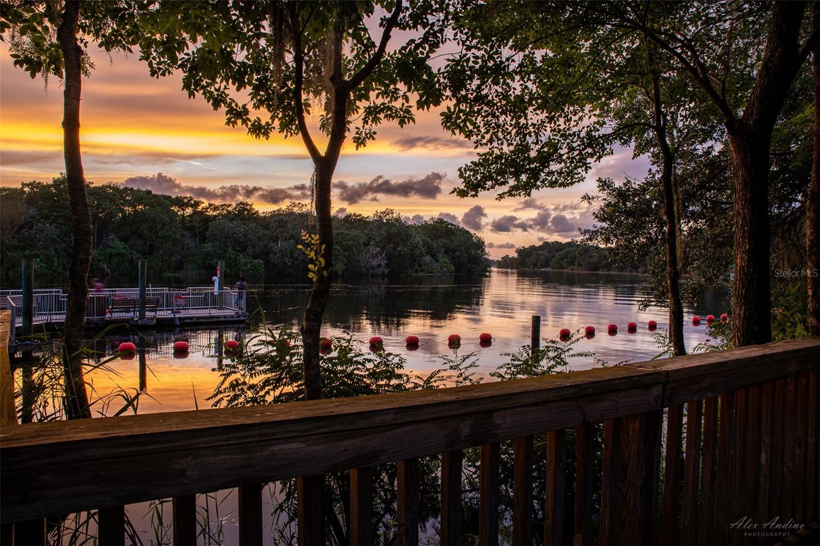 665 RHODES DR, DELAND, FL, 32720