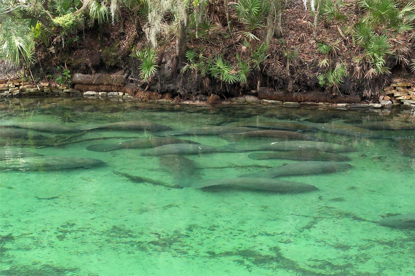 665 RHODES DR, DELAND, FL, 32720