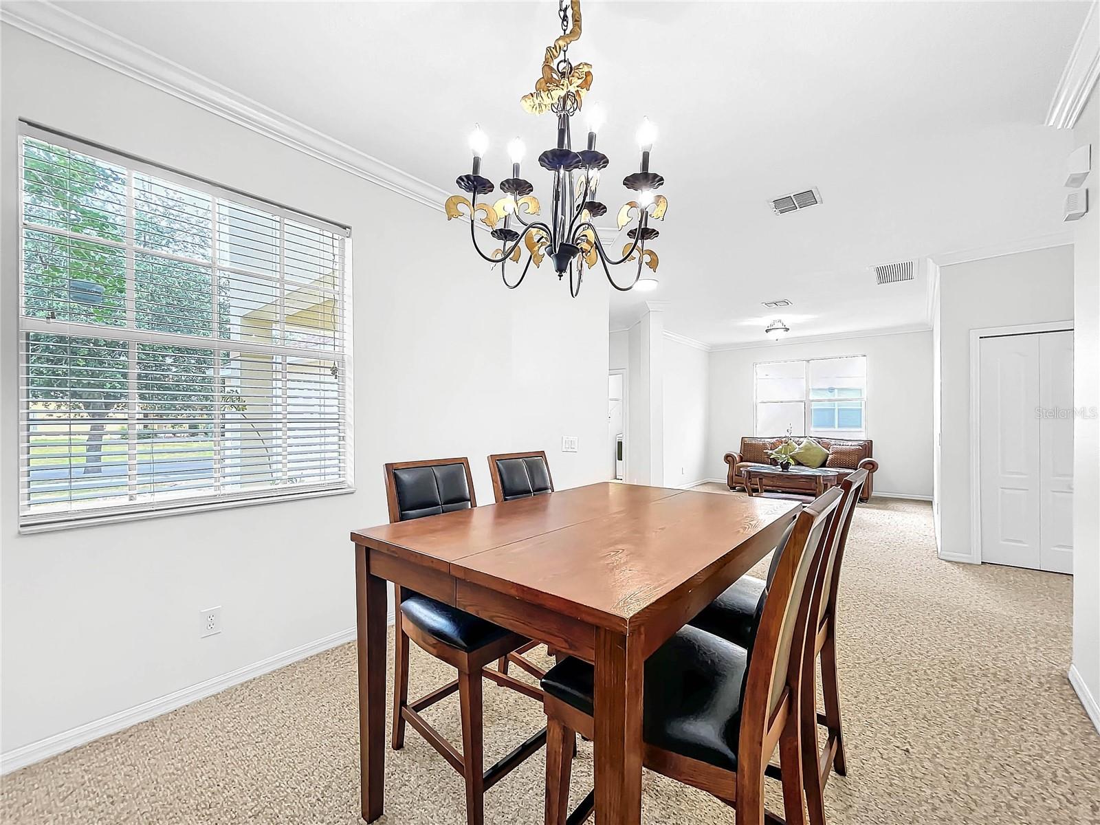 20151 BAY CEDAR AVE, TAMPA, FL, 33647
