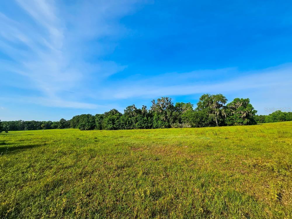 NW 65TH AVENUE RD, REDDICK, FL, 32686