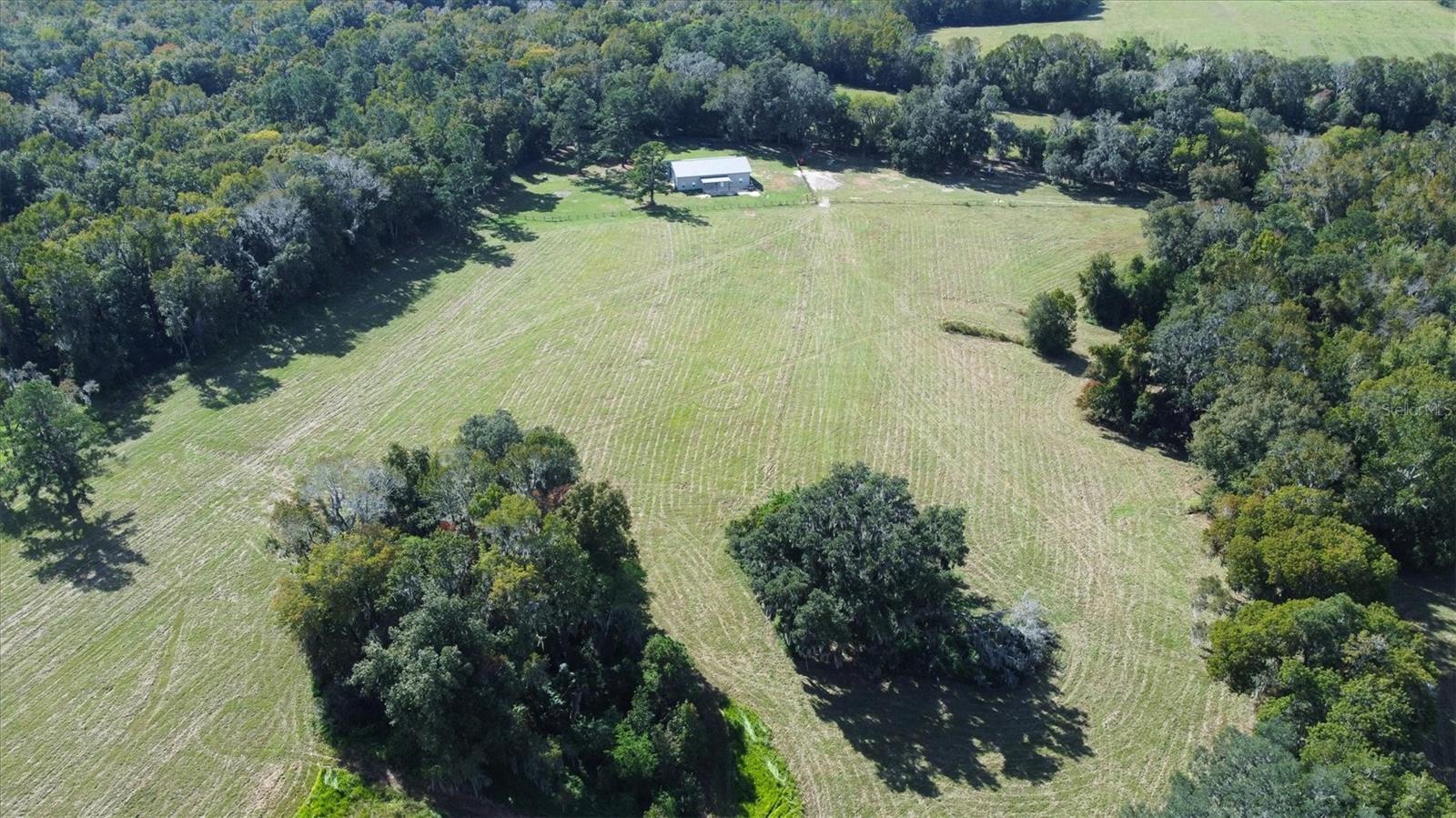 NW 65TH AVENUE RD, REDDICK, FL, 32686