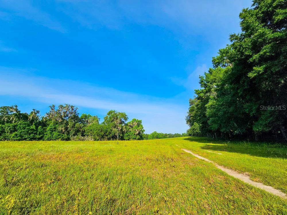 NW 65TH AVENUE RD, REDDICK, FL, 32686