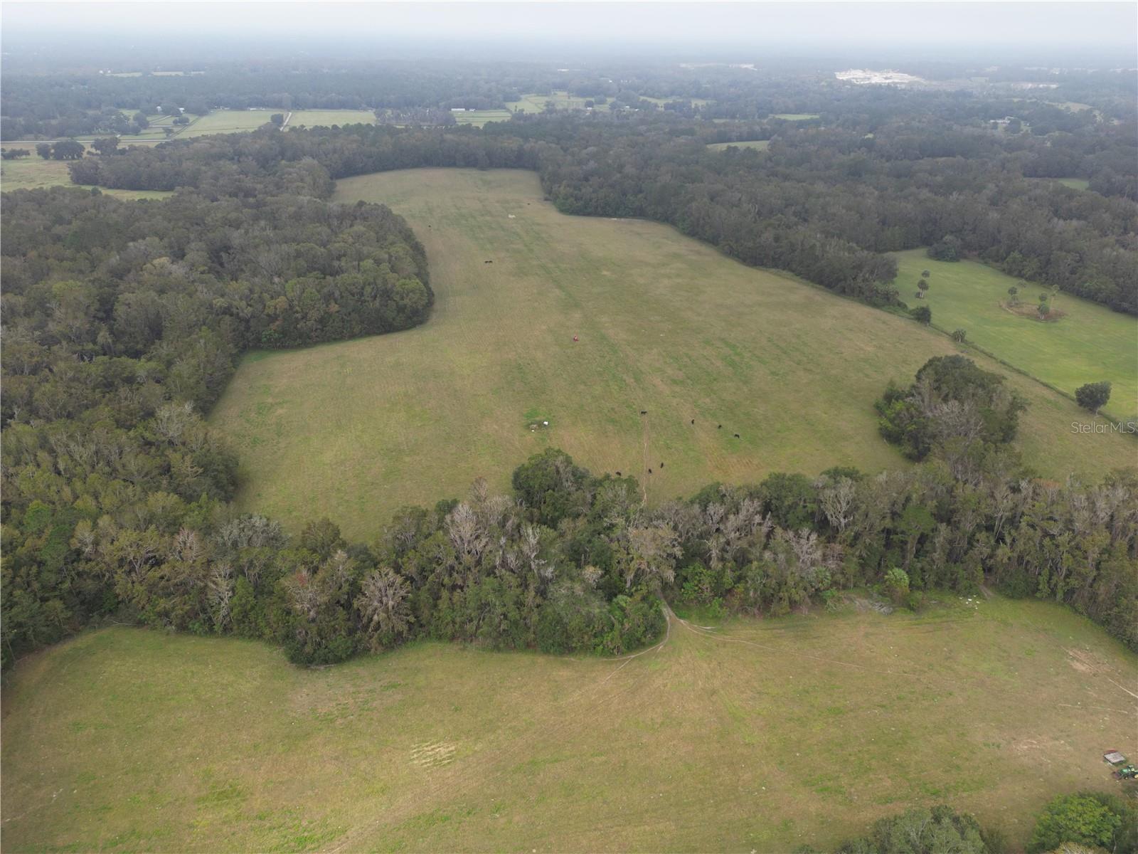 NW 65TH AVENUE RD, REDDICK, FL, 32686