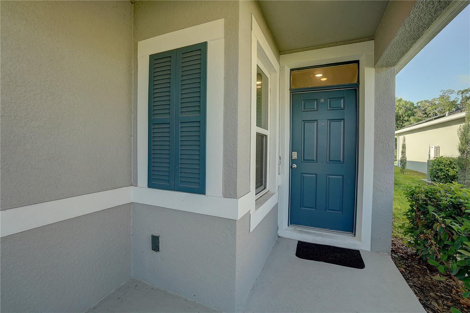 20029 ROYAL TERN CT, LEESBURG, FL, 34748