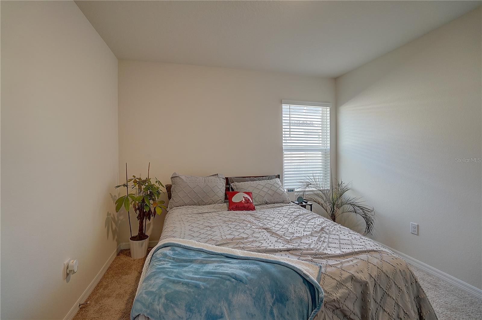 20029 ROYAL TERN CT, LEESBURG, FL, 34748