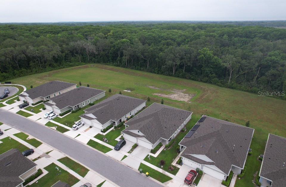 20029 ROYAL TERN CT, LEESBURG, FL, 34748