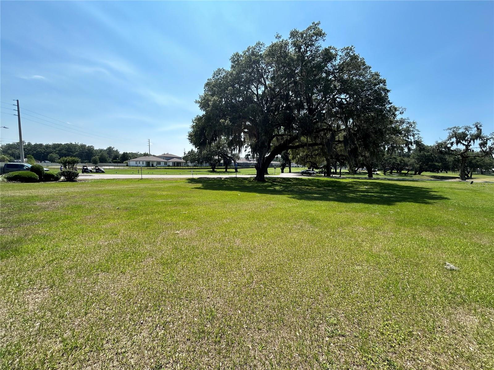 SILVER OAKS DR, ZEPHYRHILLS, FL, 33542
