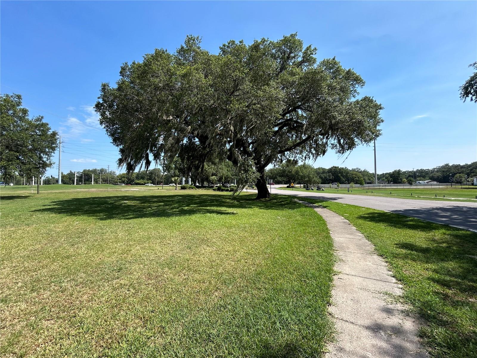 SILVER OAKS DR, ZEPHYRHILLS, FL, 33542
