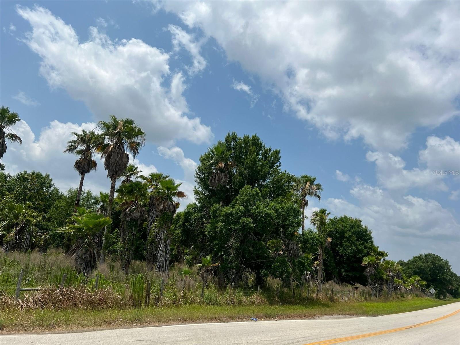 2244 CONERLY RD, ONA, FL, 33865