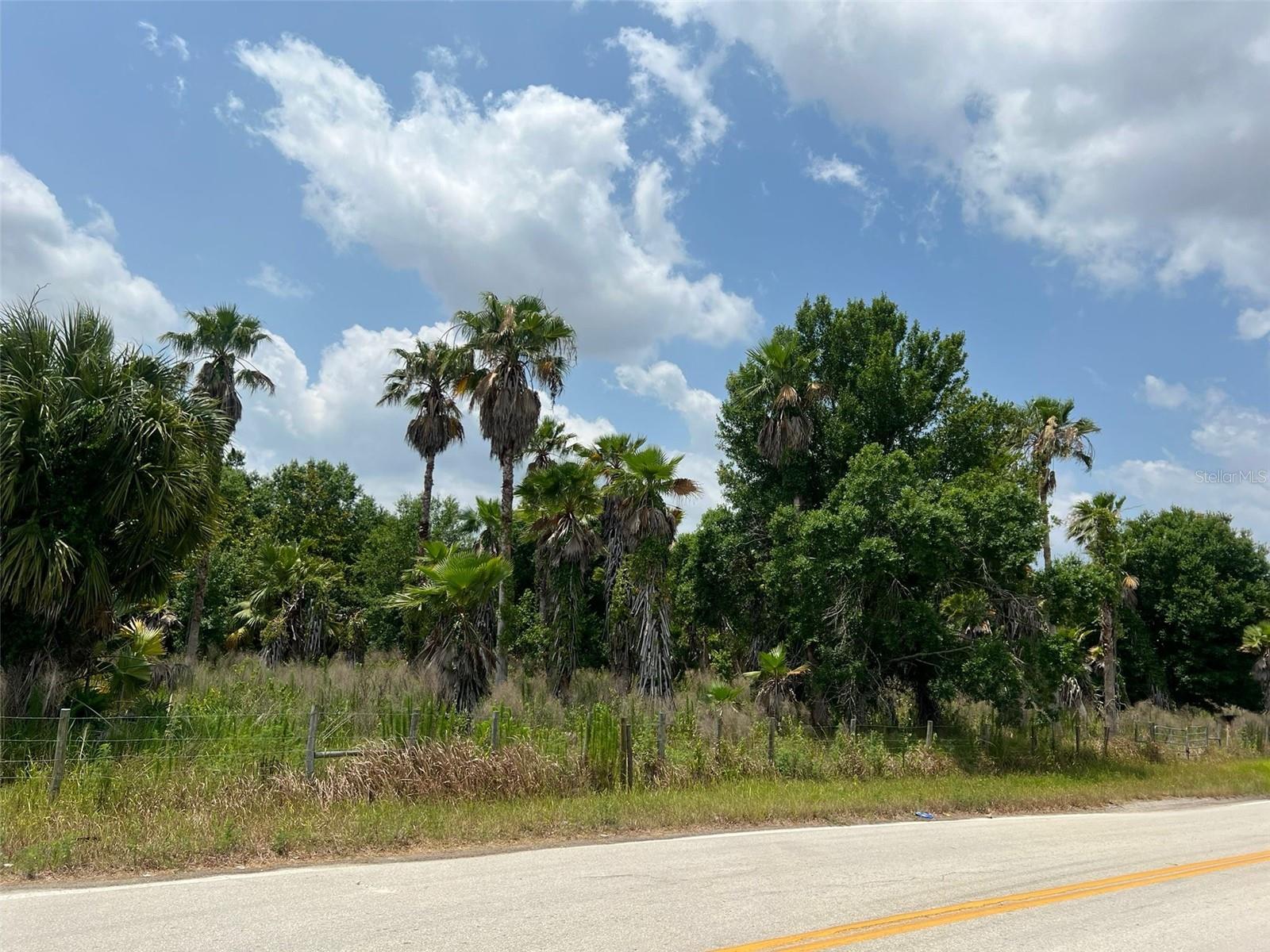 2244 CONERLY RD, ONA, FL, 33865