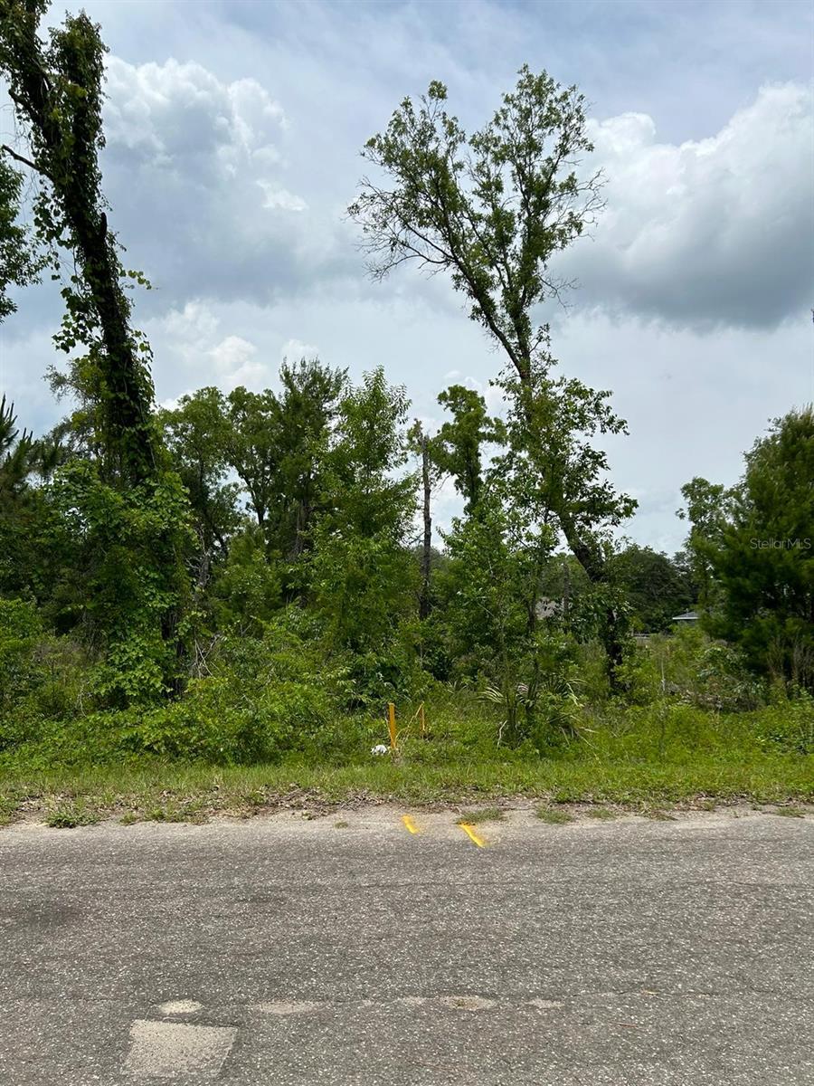 00 FISHER LANE WAY, OCKLAWAHA, FL, 32179