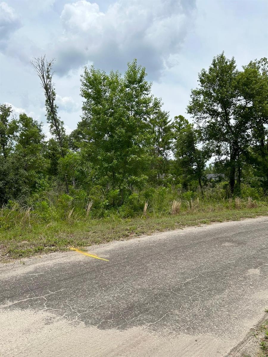 00 FISHER LANE WAY, OCKLAWAHA, FL, 32179