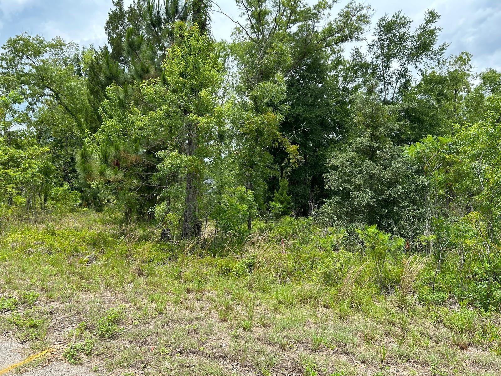 00 FISHER LANE WAY, OCKLAWAHA, FL, 32179