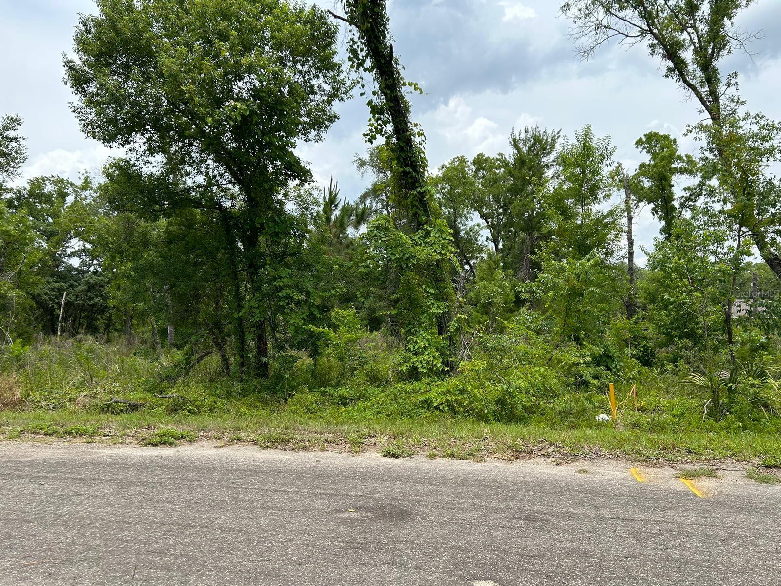 00 FISHER LANE WAY, OCKLAWAHA, FL, 32179