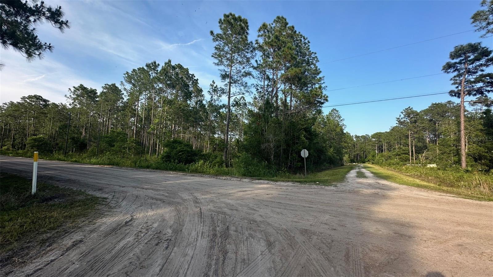 2655 BEECH BLVD, BUNNELL, FL, 32110