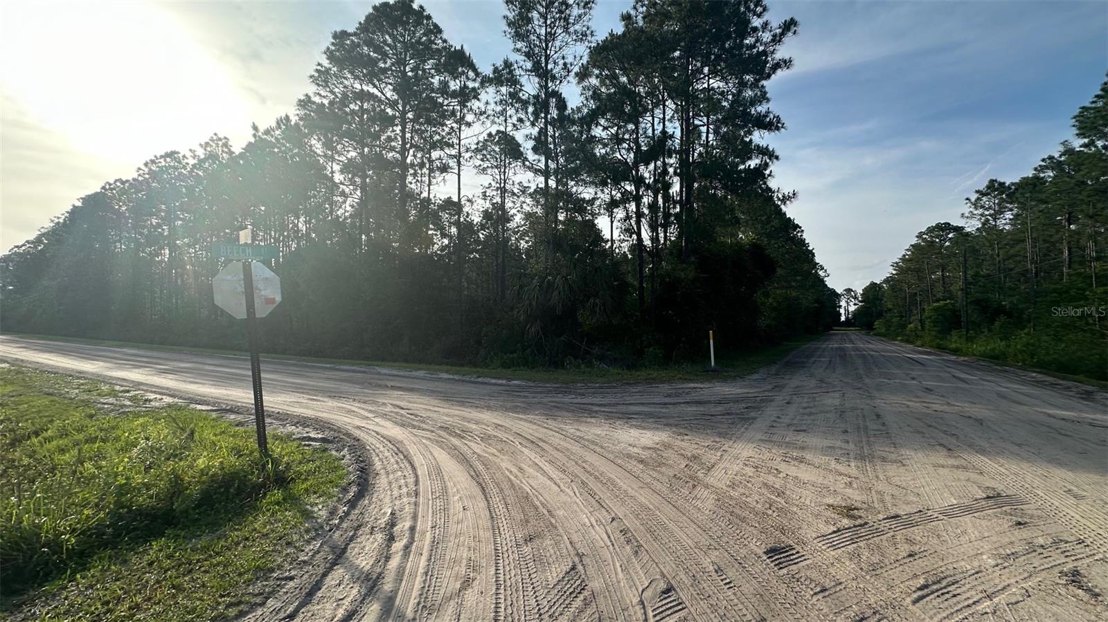 2655 BEECH BLVD, BUNNELL, FL, 32110