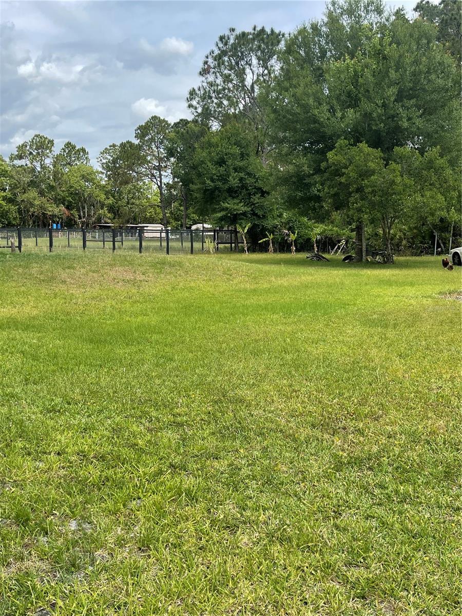 6008 MAHOGANY BLVD, BUNNELL, FL, 32110