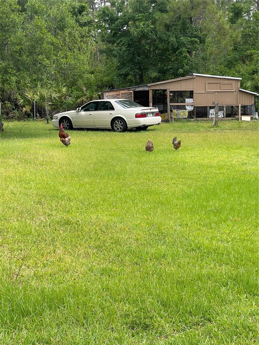 6008 MAHOGANY BLVD, BUNNELL, FL, 32110