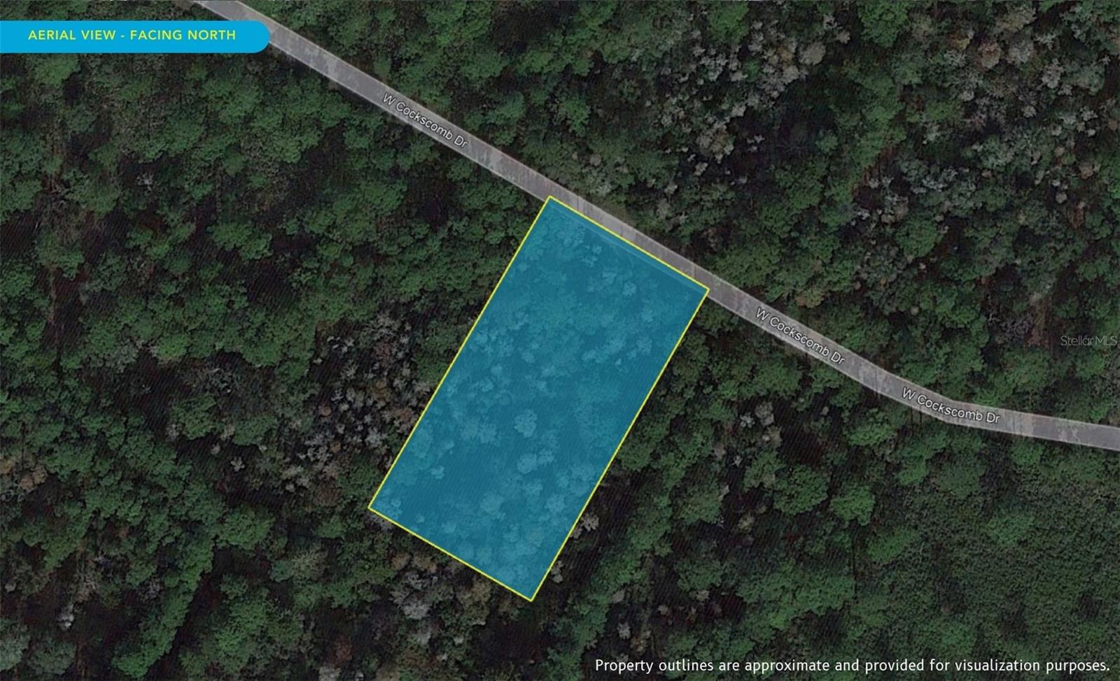 11276 W COCKSCOMB DR, CRYSTAL RIVER, FL, 34428