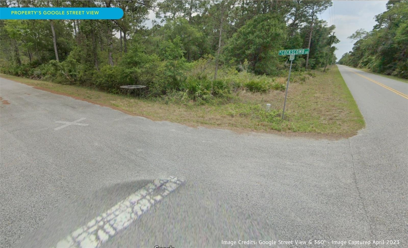 11276 W COCKSCOMB DR, CRYSTAL RIVER, FL, 34428