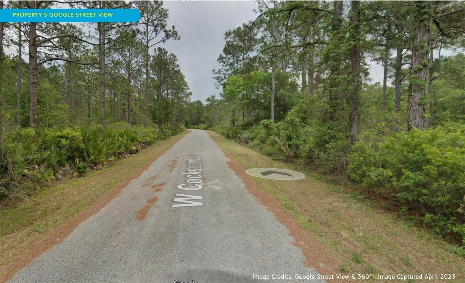 11276 W COCKSCOMB DR, CRYSTAL RIVER, FL, 34428