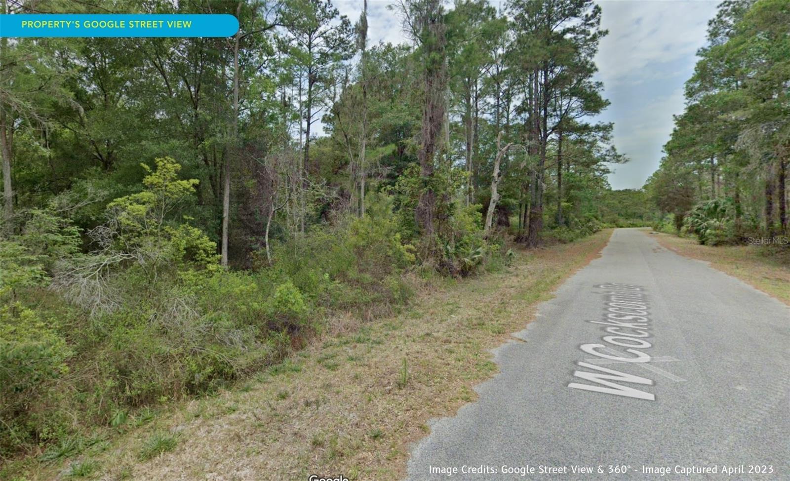 11276 W COCKSCOMB DR, CRYSTAL RIVER, FL, 34428