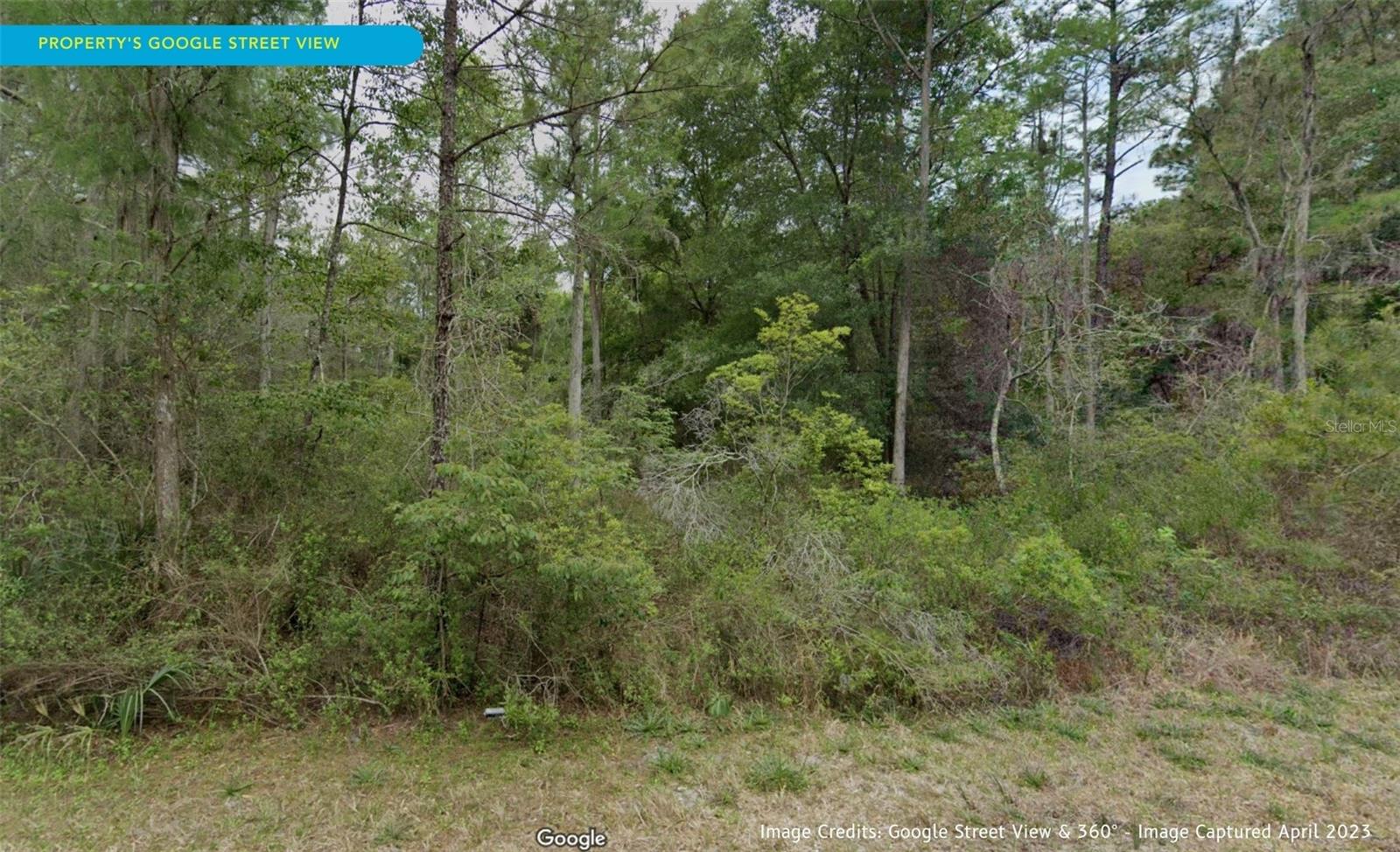 11276 W COCKSCOMB DR, CRYSTAL RIVER, FL, 34428