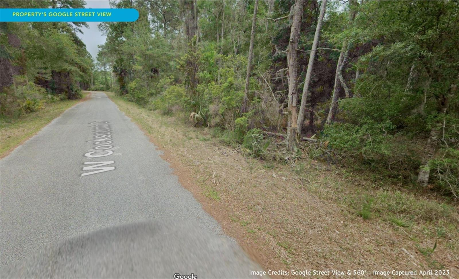 11276 W COCKSCOMB DR, CRYSTAL RIVER, FL, 34428