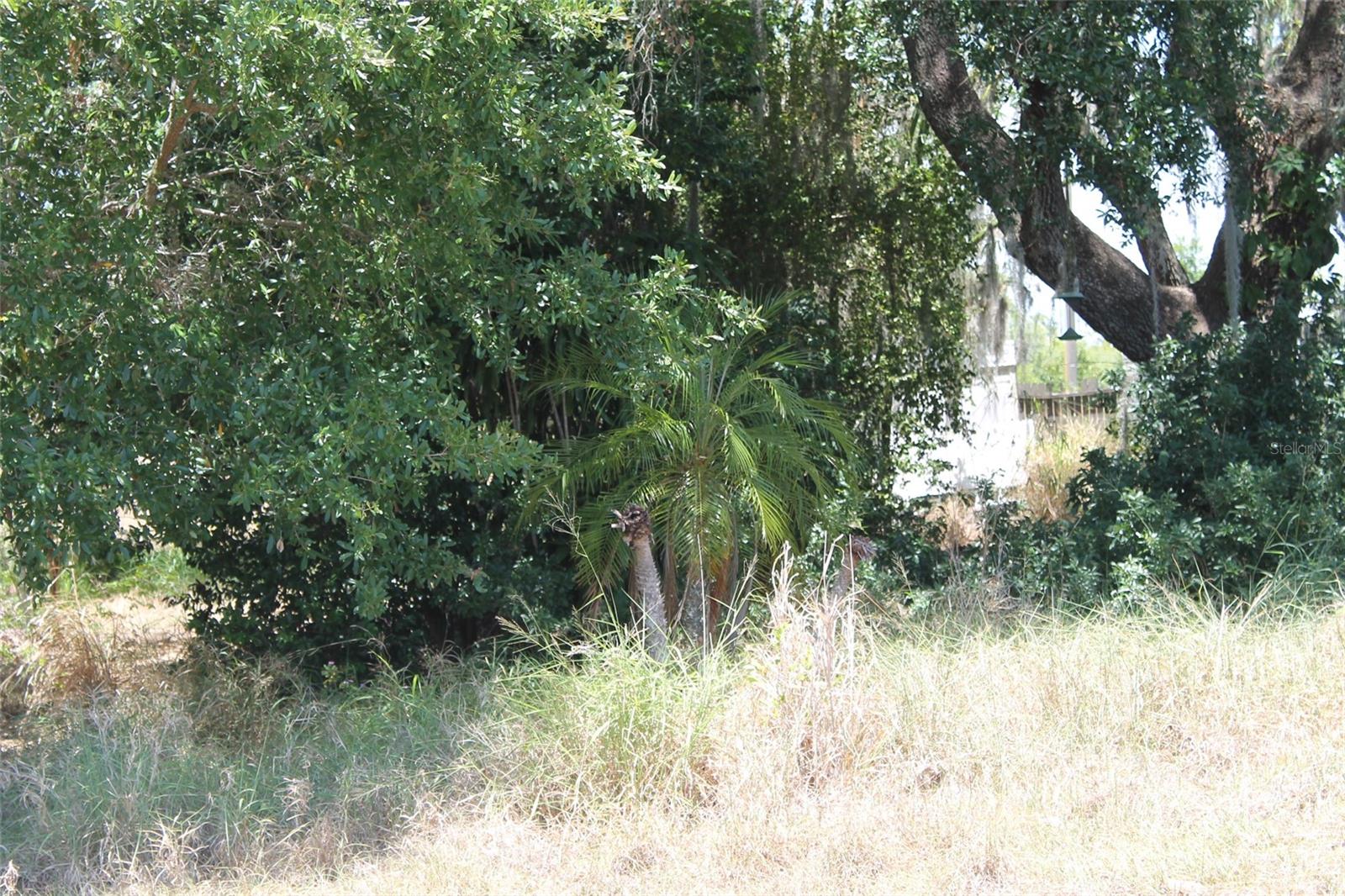 0 SUNSET TRL, BABSON PARK, FL, 33827
