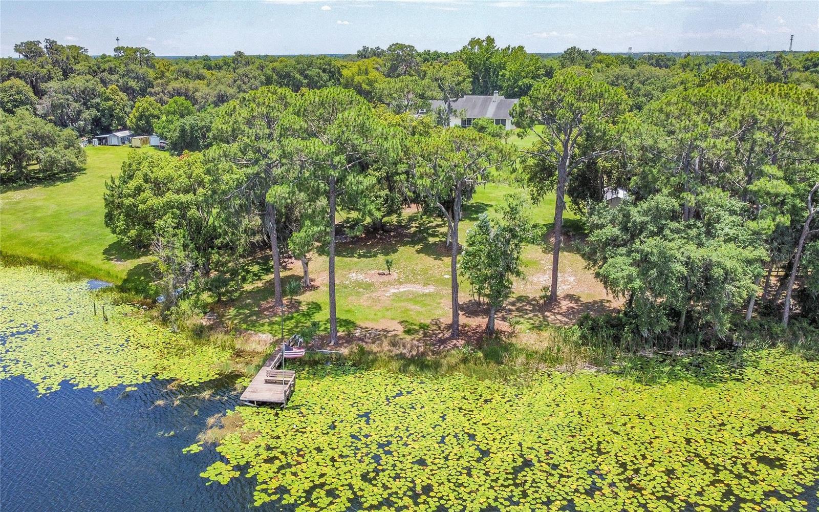 590 CRESCENT ST, UMATILLA, FL, 32784