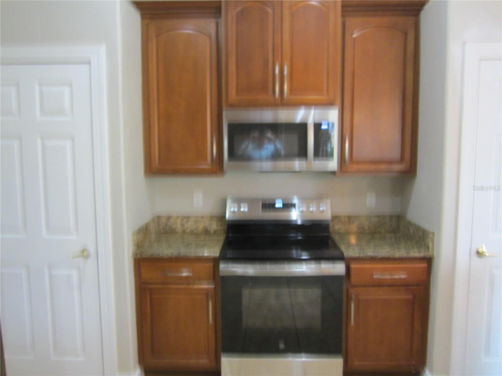 17928 BAHAMA ISLE CIR, TAMPA, FL, 33647