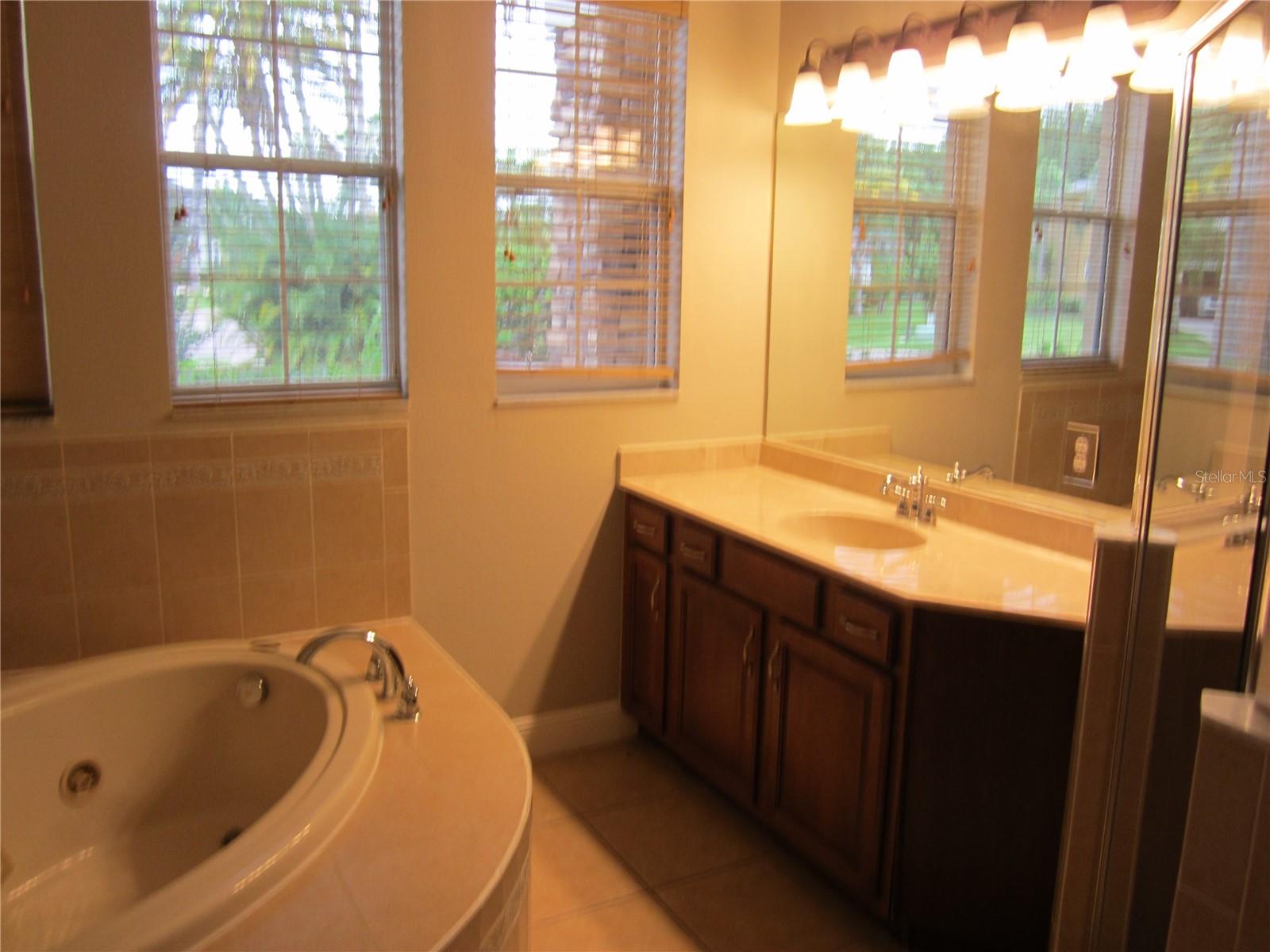 17928 BAHAMA ISLE CIR, TAMPA, FL, 33647