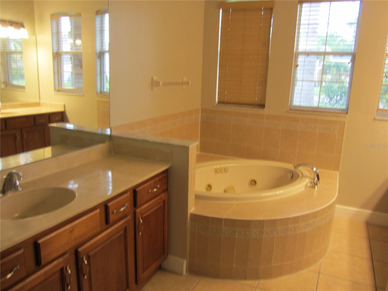 17928 BAHAMA ISLE CIR, TAMPA, FL, 33647