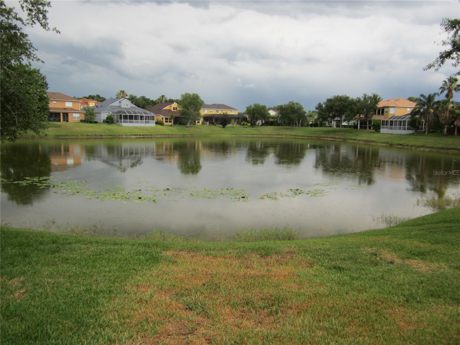 17928 BAHAMA ISLE CIR, TAMPA, FL, 33647