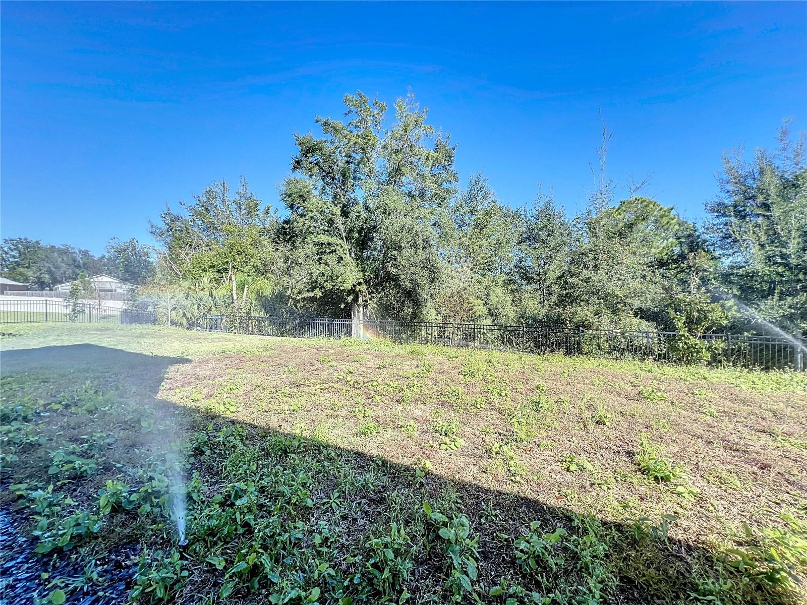 1009 RIVERS CROSSING ST, CLERMONT, FL, 34714