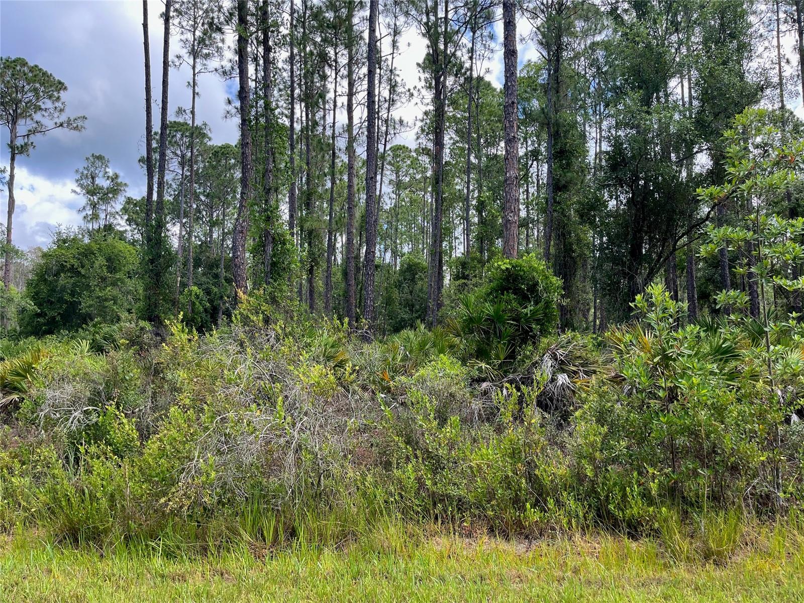 222 MARIE AVE, GEORGETOWN, FL, 32139