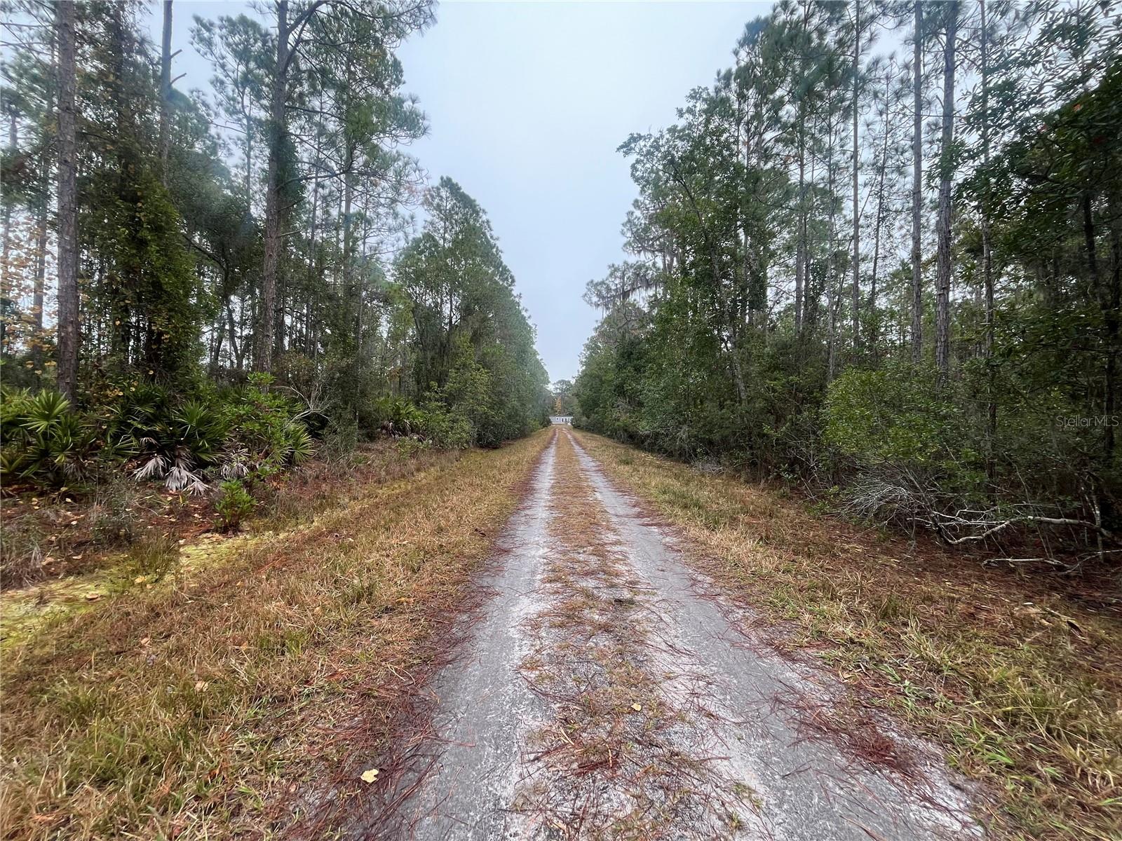 222 MARIE AVE, GEORGETOWN, FL, 32139