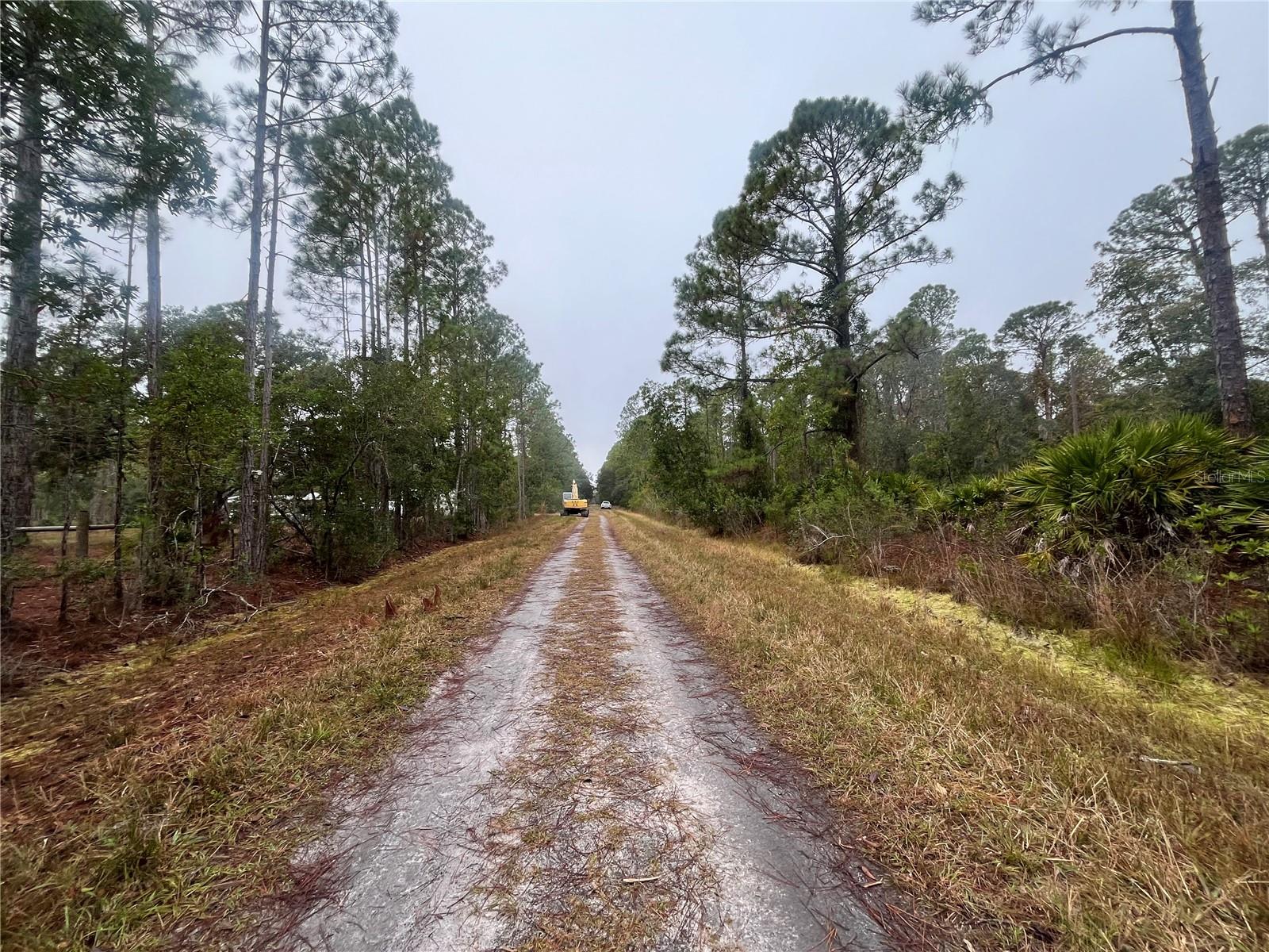 222 MARIE AVE, GEORGETOWN, FL, 32139