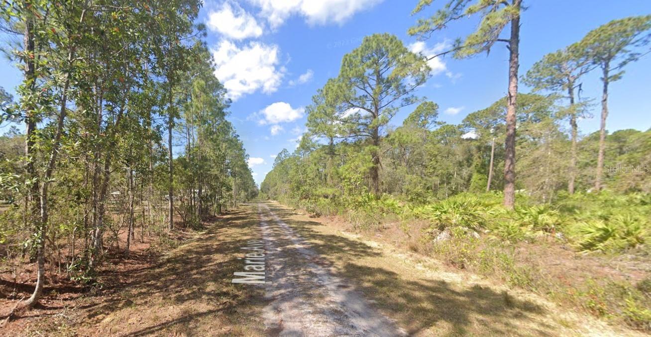 222 MARIE AVE, GEORGETOWN, FL, 32139